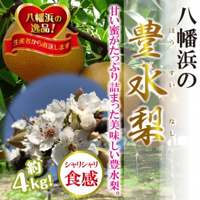 八幡浜の梨、果汁たっぷり!!「豊水」4キロ【C39-37】