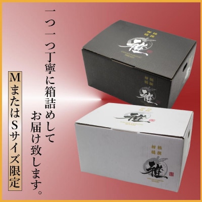 極撰柑橘“雅”光センサー合格品「八幡浜温州みかん」4キロ 【C39-41】