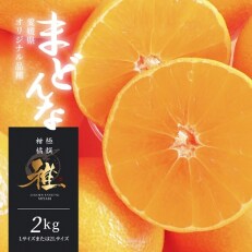 極撰 柑橘 “ 雅 ” 光センサー 合格品・プルプル食感「 マドンナ 」 2キロ　【C39-43】