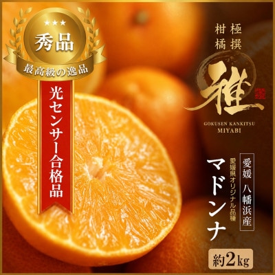 極撰 柑橘 【 雅 】光センサー 合格品・プルプル食感「 マドンナ 」 2キロ　【D39-43】