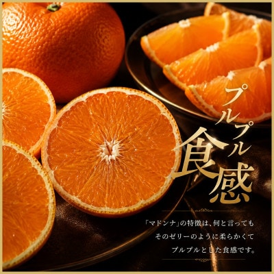 極撰 柑橘 【 雅 】光センサー 合格品・プルプル食感「 マドンナ 」 2キロ　【D39-43】