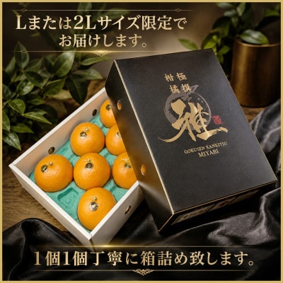 極撰 柑橘 【 雅 】光センサー 合格品・プルプル食感「 マドンナ 」 2キロ　【D39-43】