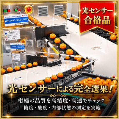 極撰 柑橘 【 雅 】光センサー 合格品・プルプル食感「 マドンナ 」 2キロ　【D39-43】
