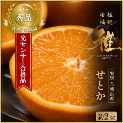 極撰柑橘【雅】光センサー合格品・柑橘の大トロ「 せとか 」約2キロ　【C39-47】