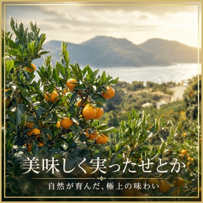 極撰柑橘【雅】光センサー合格品・柑橘の大トロ「 せとか 」約2キロ　【C39-47】