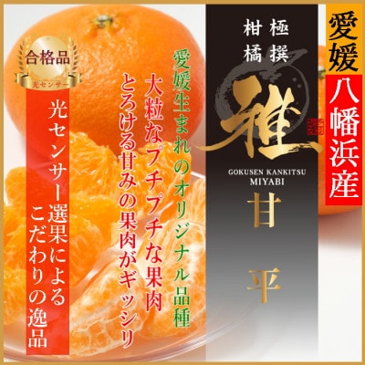 2025年2月発送開始　極撰柑橘“雅”光センサー合格品・高級柑橘「甘平 」2キロ  【C39-46】