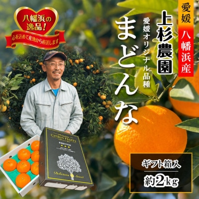 ギフト対応化粧箱入・上杉農園のぷるぷる新食感!「マドンナ」約2kg【C39-50】