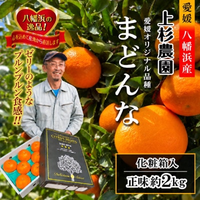 ギフト対応化粧箱入・上杉農園のぷるぷる新食感!「マドンナ」約2kg【C39-50】