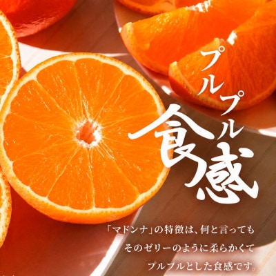 ギフト対応化粧箱入・上杉農園のぷるぷる新食感!「マドンナ」約2kg【C39-50】