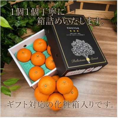 ギフト対応化粧箱入・上杉農園のぷるぷる新食感!「マドンナ」約2kg【C39-50】