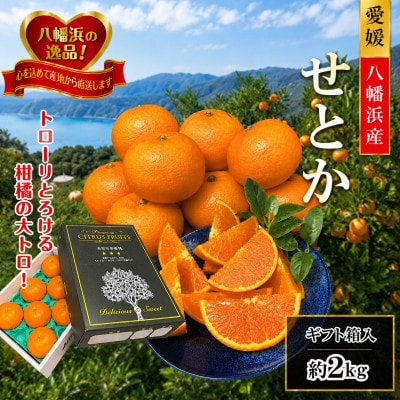 2027年2月～順次出荷　柑橘の大トロ‼「せとか」約2kg 【C39-55】