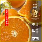 2026年3月出荷開始　極撰柑橘【雅】光センサー合格品・完熟「清見」3キロ【C39-56】