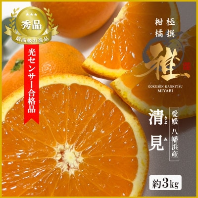 2026年3月出荷開始　極撰柑橘【雅】光センサー合格品・完熟「清見」3キロ【C39-56】