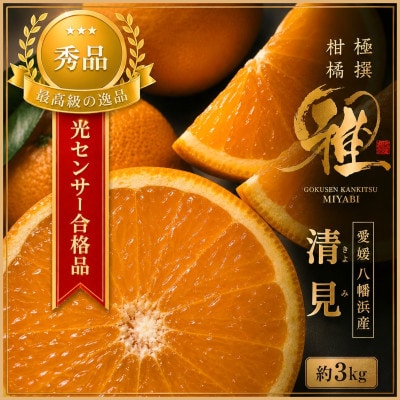 2027年3月出荷開始　極撰柑橘【雅】光センサー合格品・完熟「清見」3キロ【C39-56】