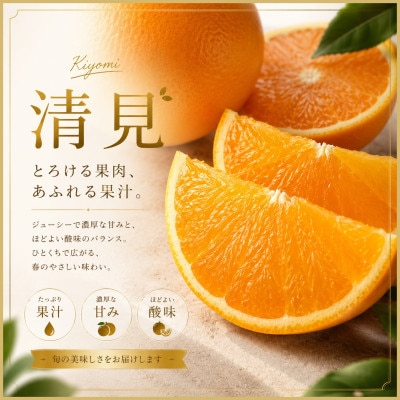 2027年3月出荷開始　極撰柑橘【雅】光センサー合格品・完熟「清見」3キロ【C39-56】