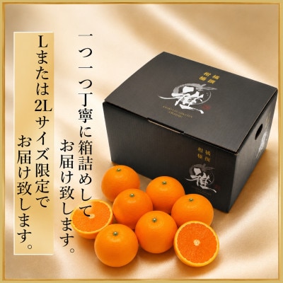 2027年3月出荷開始　極撰柑橘【雅】光センサー合格品・完熟「清見」3キロ【C39-56】