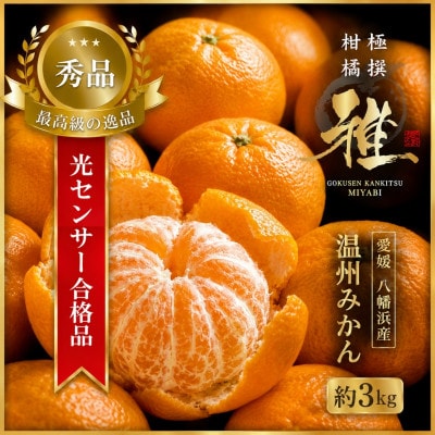 極撰柑橘【雅】光センサー合格品「八幡浜温州みかん」約3キロ 【C39-53】
