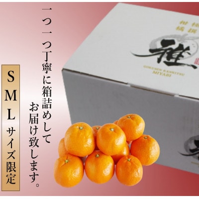 極撰柑橘【雅】光センサー合格品「八幡浜温州みかん」約3キロ 【C39-53】