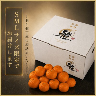 極撰柑橘【雅】光センサー合格品「八幡浜温州みかん」約3キロ 【C39-53】