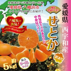 柑橘の大トロ!「せとか」約5キロ　限定250個【訳あり品・家庭向け】【C39-52】