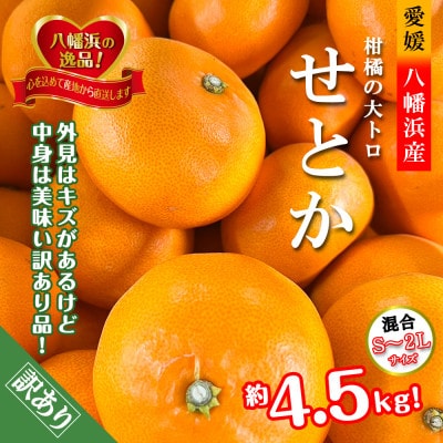 2026年2月発送開始　柑橘の大トロ!「せとか」約4.5キロ限定300個【訳あり品】【C39-52】