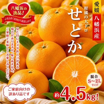 2027年2月発送開始　柑橘の大トロ!「せとか」約4.5キロ限定300個【訳あり品】【D39-52】