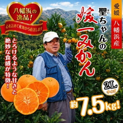 「日の丸みかん」と同産地!聖ちゃんの「媛一みかん」2Lサイズ  約7.5kg【C39-14】