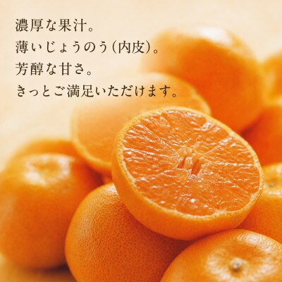 「日の丸みかん」と同産地!聖ちゃんの「媛一みかん」2Lサイズ  約7.5kg【C39-14】