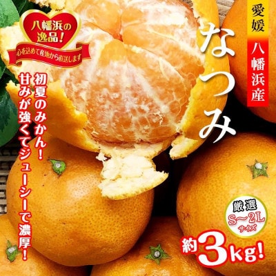 2026年4月発送開始　甘みが強くて濃厚な味わい‼初夏のみかん「なつみ」約3kg  【C39-57】