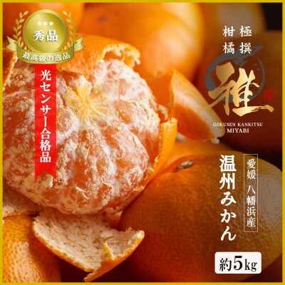 特撰柑橘【雅】光センサー合格品「八幡浜温州みかん」約5キロ 【D39-54】