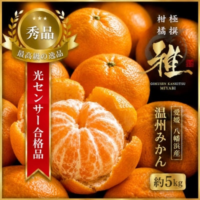 特撰柑橘【雅】光センサー合格品「八幡浜温州みかん」約5キロ 【D39-54】