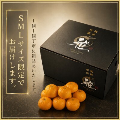 特撰柑橘【雅】光センサー合格品「八幡浜温州みかん」約5キロ 【D39-54】