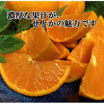 2026年2月発送開始　柑橘の大トロ!「せとか」約3.5キロ【訳あり品・家庭向け】【C39-51】