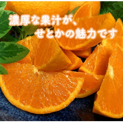 2027年2月発送開始　柑橘の大トロ!「せとか」約3.5キロ【訳あり品・家庭向け】【C39-51】