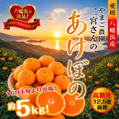 濃厚な味わい!やまご農園 高糖度みかん!「あけぼの」【C39-11】