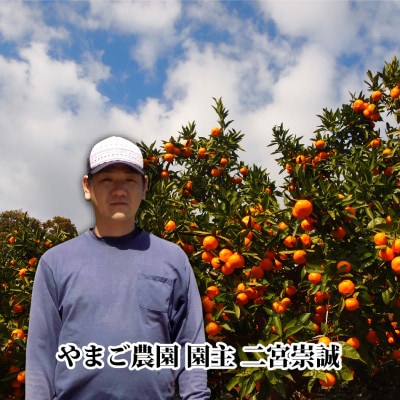 やまご農園 高糖度みかん!「あけぼの」【C39-11】