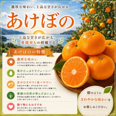 濃厚な味わい!やまご農園 高糖度みかん!「あけぼの」【C39-11】