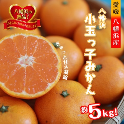 2025年11月発送開始　小粒・濃厚な味わい!!「八幡浜小玉っ子みかん」約5kg【C39-59】
