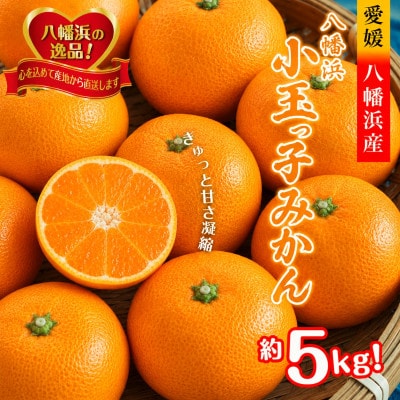 小粒・濃厚な味わい!!「八幡浜小玉っ子みかん」約5kg【C39-59】