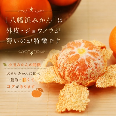 小粒・濃厚な味わい!!「八幡浜小玉っ子みかん」約5kg【C39-59】