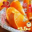 2026年2月発送開始　みずみずしい香り・柑橘の大トロ!「姫せとか」約3.5kg【D39-60】