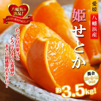 2026年2月発送開始　みずみずしい香り・柑橘の大トロ!「姫せとか」約3.5kg【D39-60】
