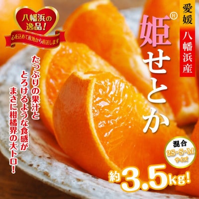 2027年2月発送開始　みずみずしい香り・柑橘の大トロ!「姫せとか」約3.5kg【D39-60】
