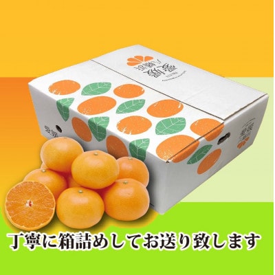 2026年2月発送開始　みずみずしい香り・柑橘の大トロ!「姫せとか」約3.5kg【D39-60】