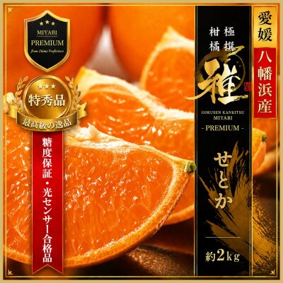 極撰柑橘【雅プレミアム】糖度保証・光センサー合格品「 せとか 」約2キロ【D39-62】