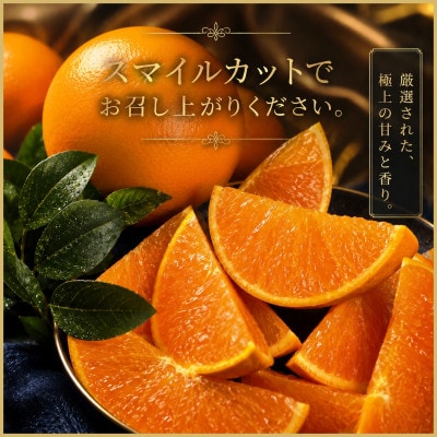 極撰柑橘【雅プレミアム】糖度保証・光センサー合格品「 せとか 」約2キロ【D39-62】