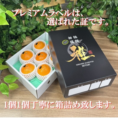 極撰柑橘【雅プレミアム】糖度保証・光センサー合格品「 せとか 」約2キロ【D39-62】