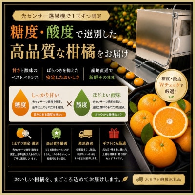 極撰柑橘【雅プレミアム】糖度保証・光センサー合格品「 せとか 」約2キロ【D39-62】