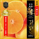 極撰柑橘【雅プレミアム】糖度保証・光センサー 合格品「 マドンナ 」約2キロ【D39-61】