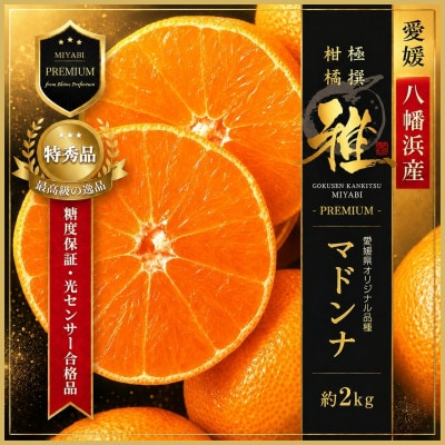 極撰柑橘【雅プレミアム】糖度保証・光センサー 合格品「 マドンナ 」約2キロ【D39-61】